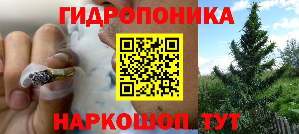 Марихуана конопля  Бошки Шишки сатива  Ессентуки  Вход с VPN  Канабис план 