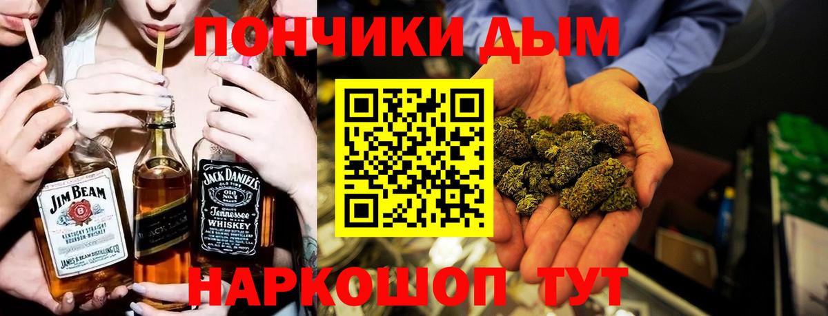 Марихуана сатива Ессентуки